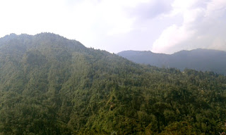 Beautiful valleys of Darjeeling