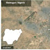 Suicide Bombers Kill 9 in Nigerian City of Maiduguri