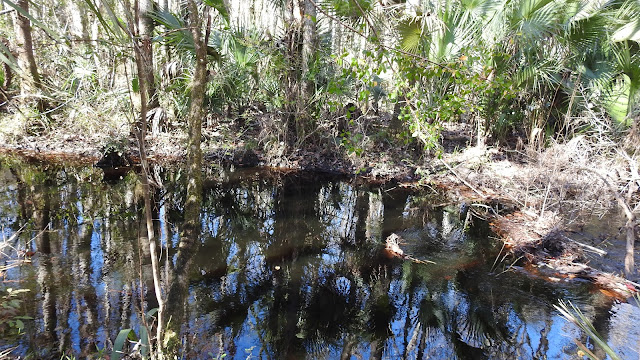 Rice Creek Conservation Area