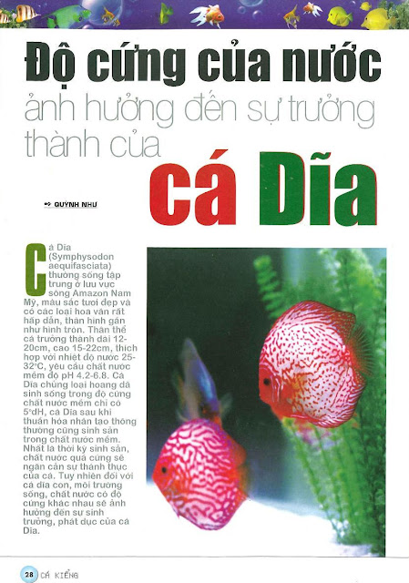 anh huong do cung cua nuoc doi voi ca dia