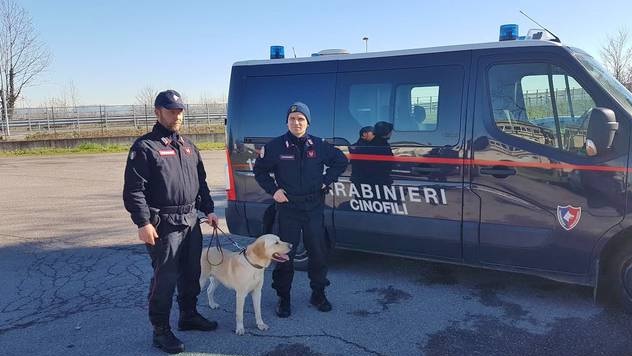 Carabinieri Superoperation, 19 arrested on drug trafficking, among them 5 Albanians