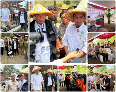 Panen Perdana Sorgum di Wilayah Izin Pemanfaatan Hutan Perhutanan Sosial (IPHPS) Kabupaten Karawang Berlangsung Sukses