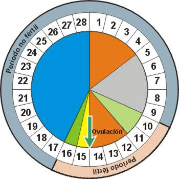 puede quedar embarazada los dias no fertiles