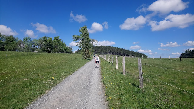 Sauerland wandern Wetter blog Winterberg Hochtour Bericht Hollenmarsch 2019 101km X6 Robert-Kolb-Weg