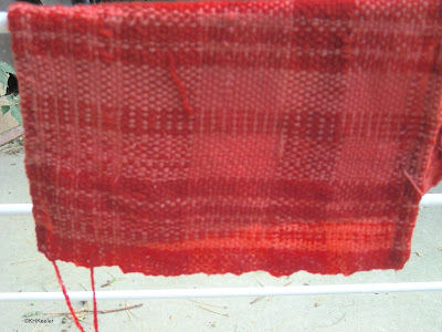 cloth dyed with madder Rubia tinctorum