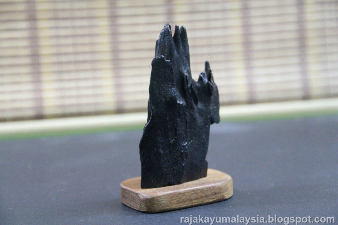 Raja Kayu Malaysia Top Quality Malaysia Rare Kayu 