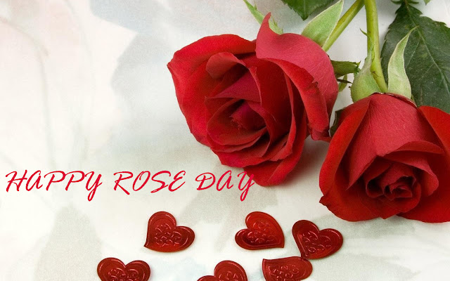 happy rose day whatsapp status