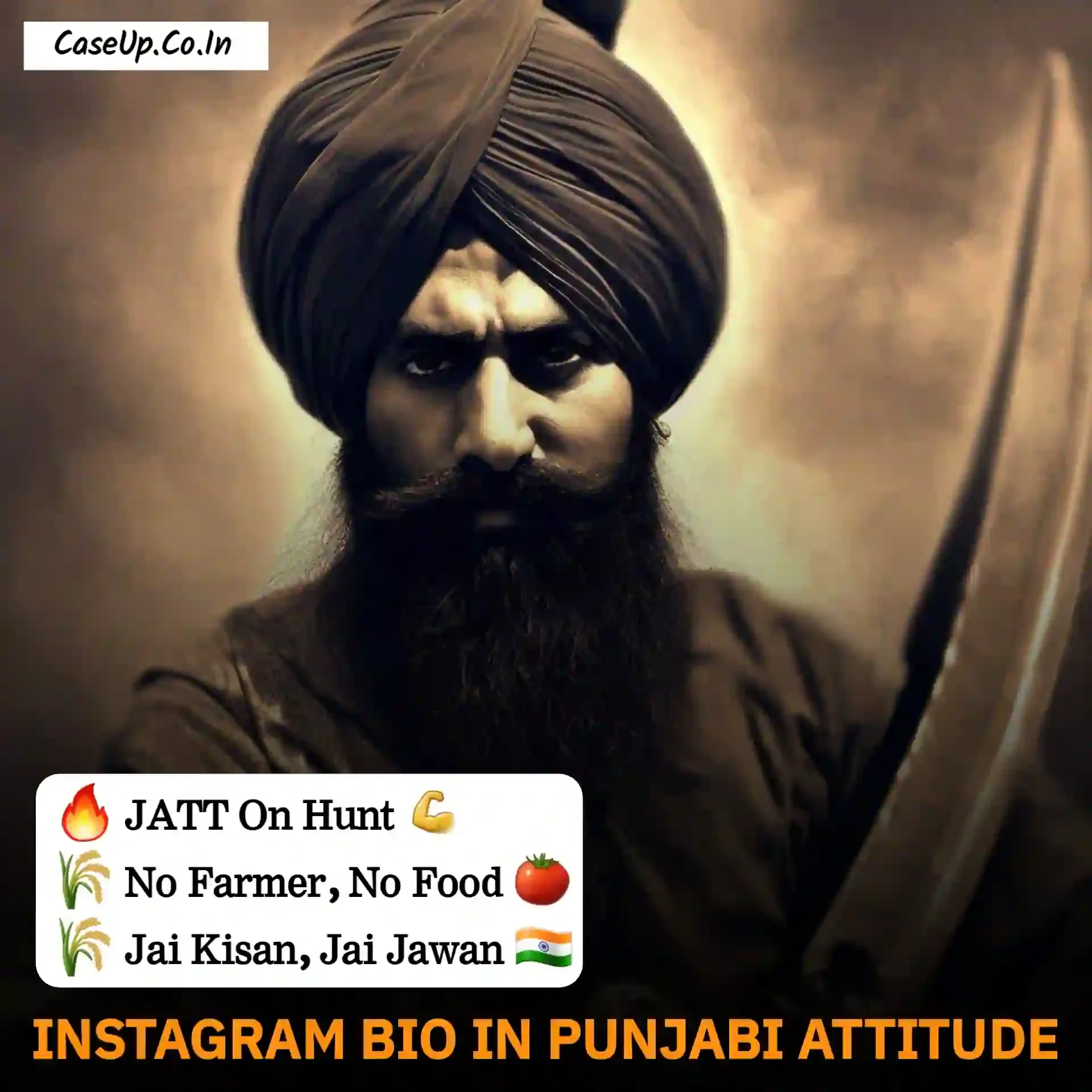 instagram bio in punjabi attitude 1
