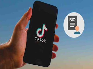 Di mana bio pada akun TikTok? begini penjelasannya