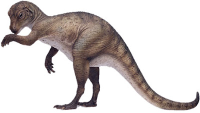 HETERODONTOSAURIDAE 