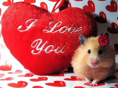 6. I Love â™¥ You Heart Hd Wallpapers - I â™¥ You Images