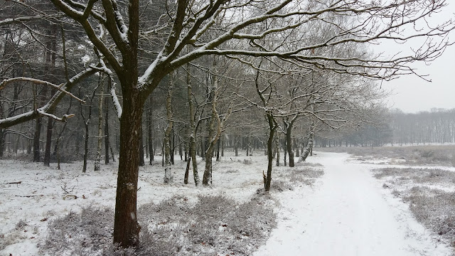 Winter tussen Huizen en Blaricum