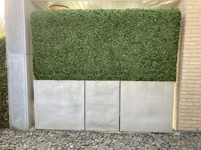 Kamerplanten kopen Online webshop voor grote planten plantenbakken in België prijzen op aanvraag met soorten en bloemen die weinig licht aankunnen en makkelijk te verzorgen grote kunstplanten prijzen voor buiten of huren groot goedkoop hangend of tegen muur met bloemen palmboom op terras of tegen wand in de winkel
