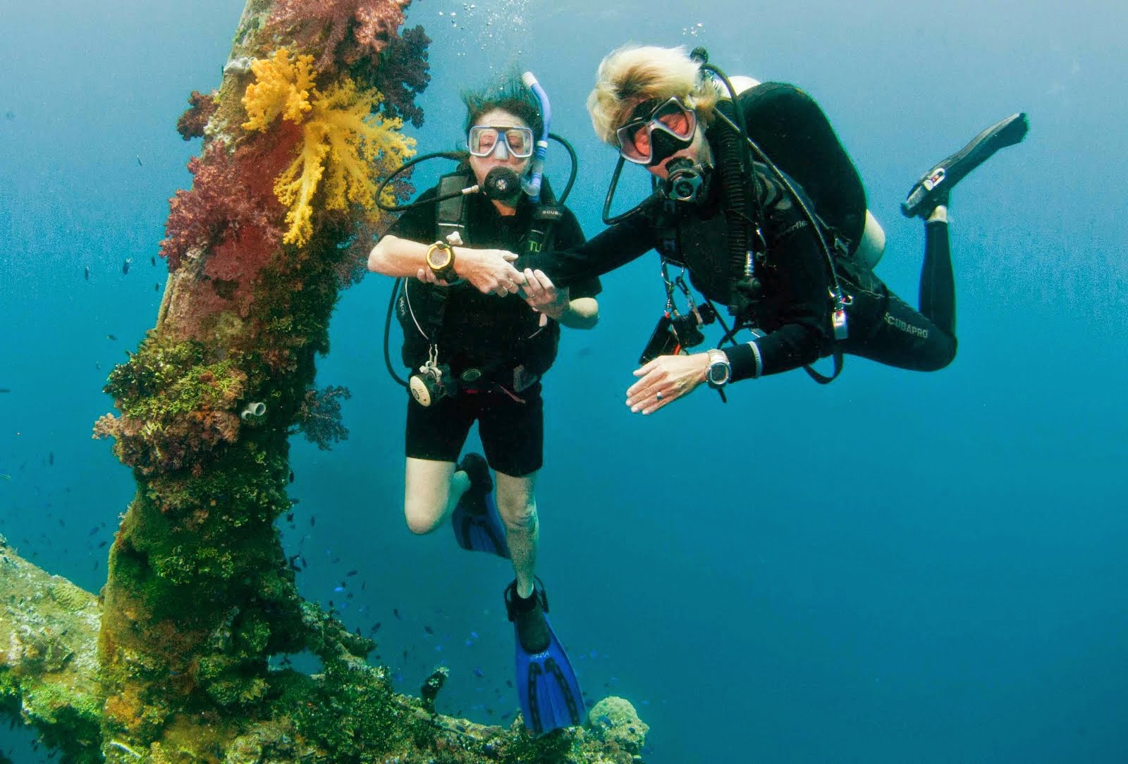 Diving Truk Lagoon