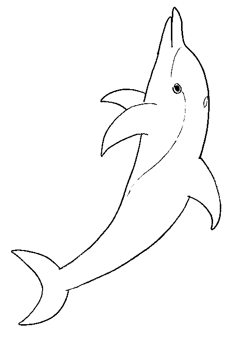 Dolphins Coloring Pages 8