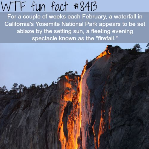 Amazing Interesting Random Facts