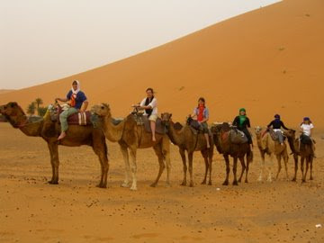 Sahara Camel Trek