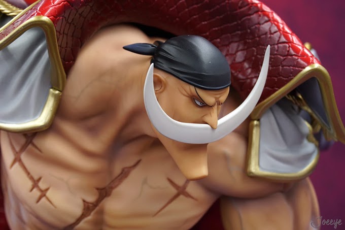 [ZOOM!] Edward Newgate "Whitebeard" - P.O.P Neo MAXIMUM