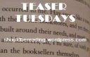 Teaser Tuesday!