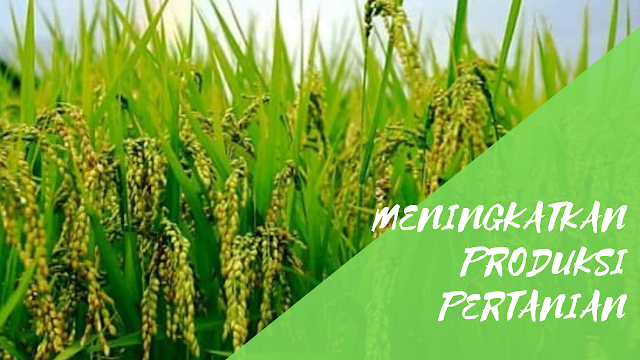 Penerapan Teknologi Dalam Meningkatkan Produksi Pertanian