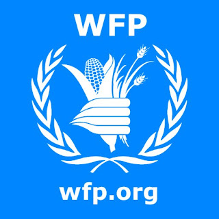 WFP Vacancies Chief, Climate and Disaster Risk Reduction Italy