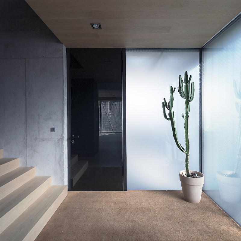 Villa Criss-Cross - OFIS Architects