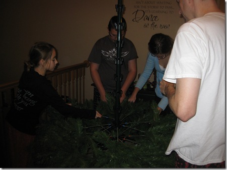 IMG_4822 IMG_4822
