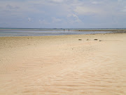 . now. Gary spent most of the time cleaning up the beach as much as he . (laura beach hewstones)