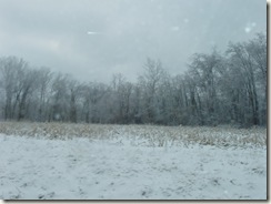 field at the end of our street