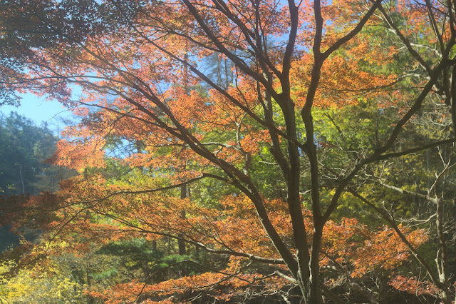 昇仙峡紅葉