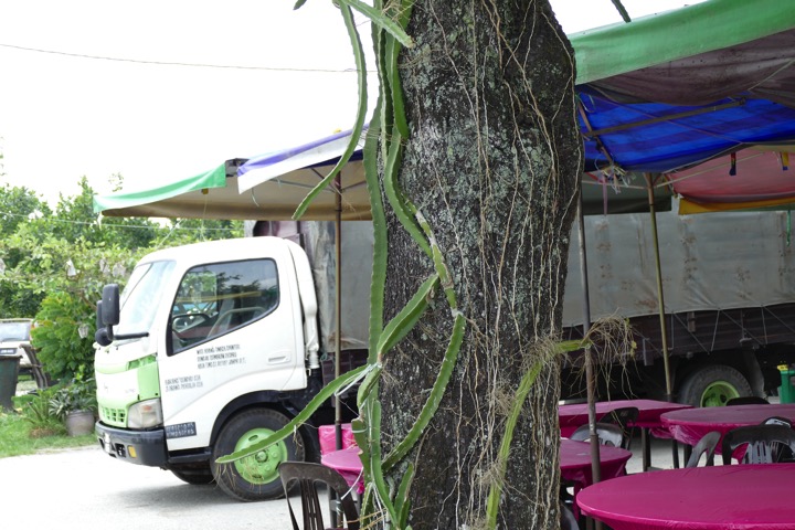 P1020449