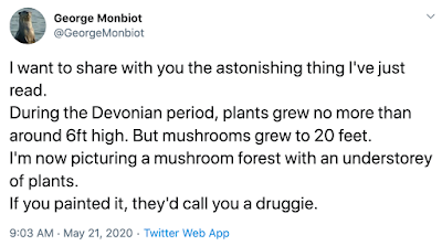 tweet about fungi