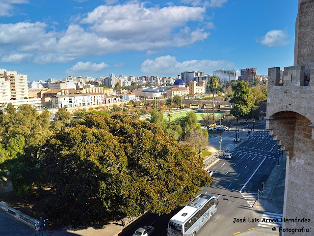 Vista desde las Torres de Serranos.