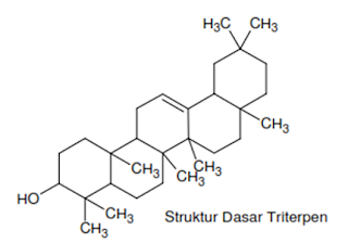 struktur dasar triterpen