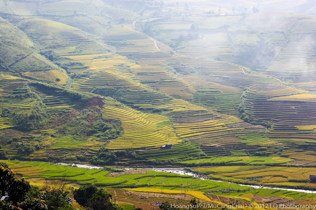 Mù Cang Chải 