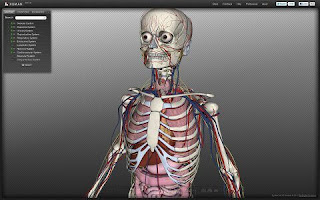 شرح Biodigital human لرؤية الانسان وهو هيكل عظمى واضافة اللحم له - See the skeleton HD