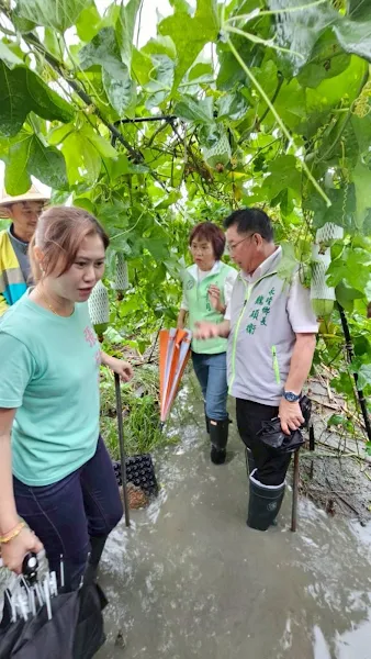 ▲立法委員陳素月與彰化縣議員張欣倩、永靖鄉長魏碩衛及田尾鄉民代表會副主席李建宏，分別前往永靖鄉、田尾鄉、大村鄉勘災並關心農民朋友農損情形。 （記者林明佑翻攝）