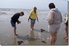Rockport Tx 2010 010