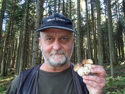 grzyby w październiku, grzyby na Orawie, grzyboobranie na Orawie, borowik szlachetny, Boletus edulis, borowik ceglastopory, Boletus luridoformis, mleczaj jodłowy, mleczaj późnojesienny - Lactarius salmonicolor, mleczaj jodłowy, mleczaj późnojesienny - Lactarius salmonicolor porażony grzybem Hypomyces sp., Borowik górski Boletus subappendiculatus, Muchomor czerwony, Amanita muscaria