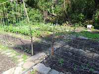 View of garden paths and trellises