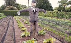 Lost-Gardens-Heligan-scarecrow