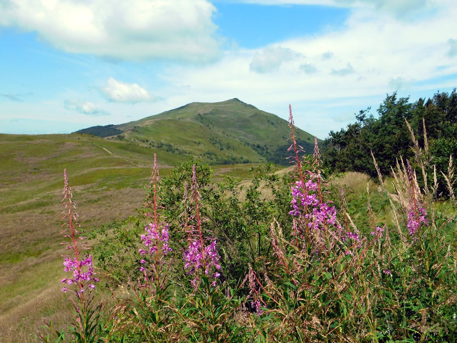 Bieszczady: Połonina Wetlińska i Chatka Puchatka