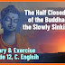    The Half Closed Eyes of the Buddha and  the Slowly Sinking Sun || Summary and Exercises || Compulsory English Grade 12, Short Story