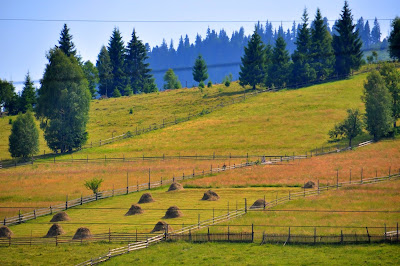 Bucovina, Landscapes, Moldova, Romania, Suceava