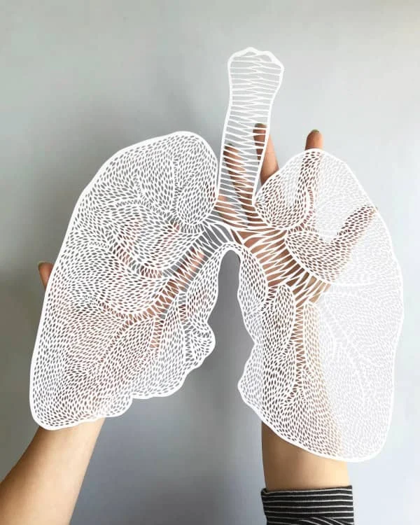 hands holding finely cut white paper lungs