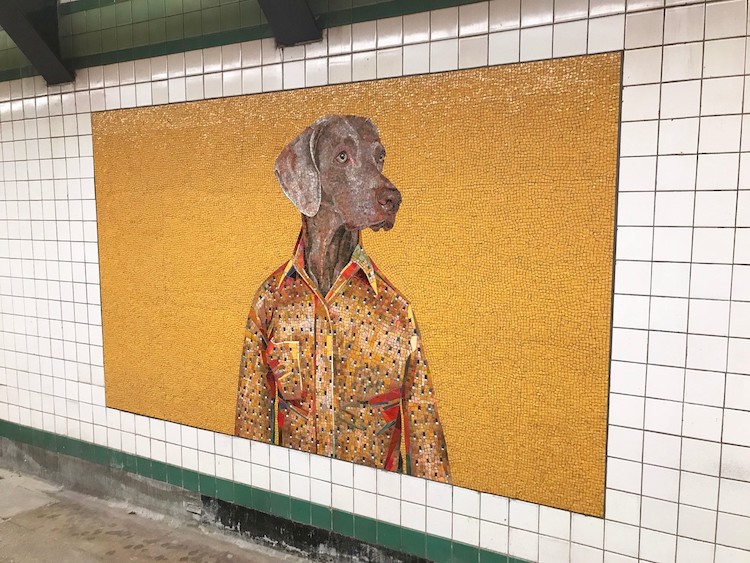 Artist Redesigns NYC Subway Station With Colorful Dog Mosaics