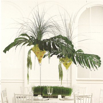 Since you've picked up the tropical theme for your wedding 