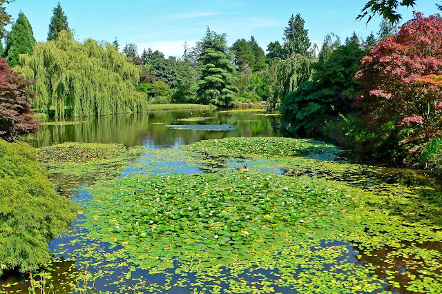 Gallery images of the Botanical Garden in Canada 