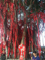 Wishing Tree | Pantai Redang, Sekinchan