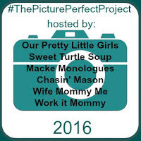 The Picture Perfect Project 